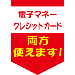 オリジナルペナント　Money-003