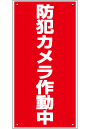 管理看板　防犯カメラ作動中