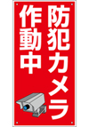 管理看板　防犯カメラ作動中　イラスト入り