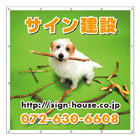 養生シート